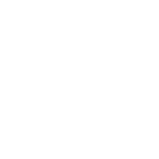 icon svg